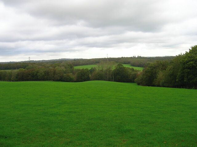 Field opposite Broomfield Farm Looking towards Minepit Wood and Summersbrook Wood.