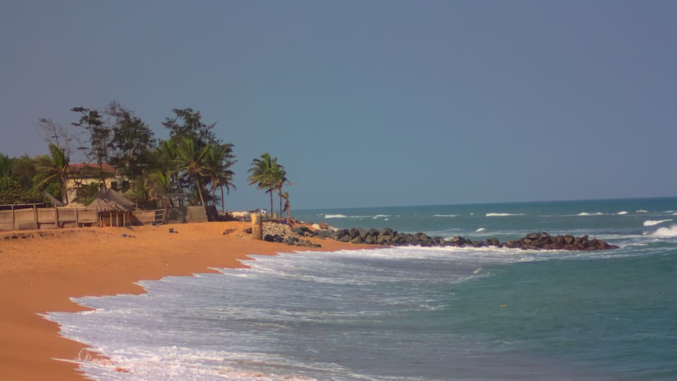 A sandy beach with palm trees and a thatched-roof hut.