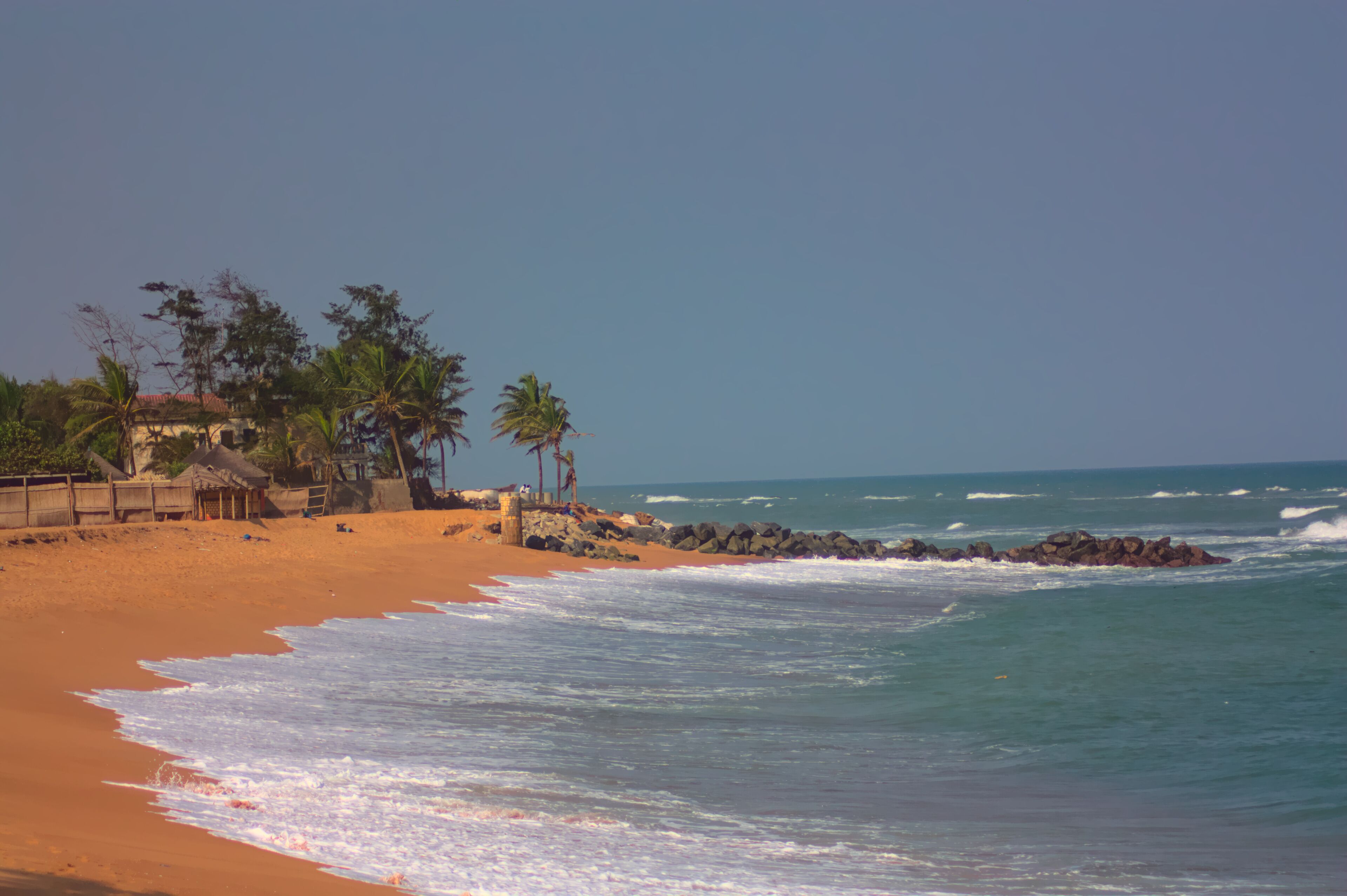 A sandy beach with palm trees and a thatched-roof hut.
