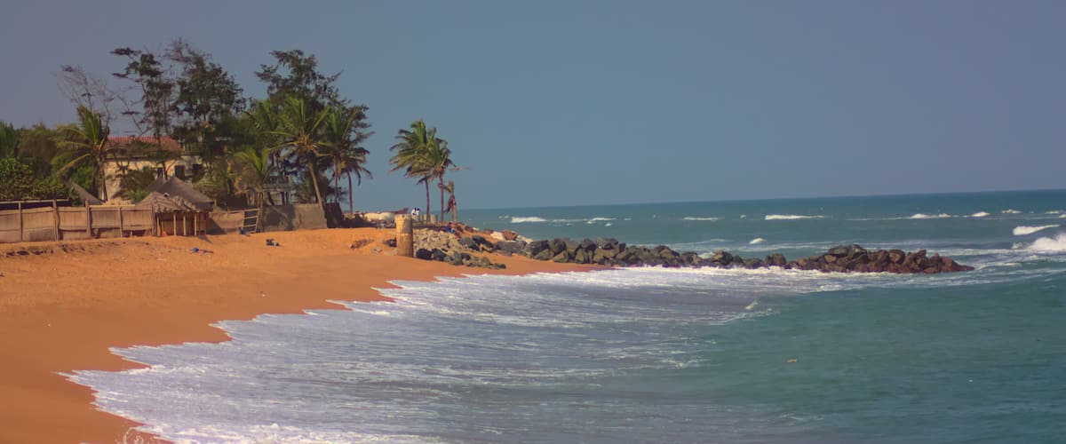 A sandy beach with palm trees and a thatched-roof hut.
