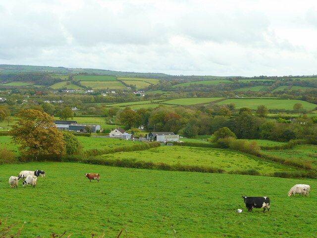 Pastoral scene Looking south over the rich grazing of Carmarthenshire near Llanpumsaint.