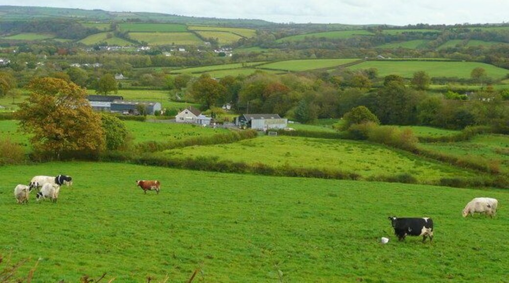 Pastoral scene Looking south over the rich grazing of Carmarthenshire near Llanpumsaint.