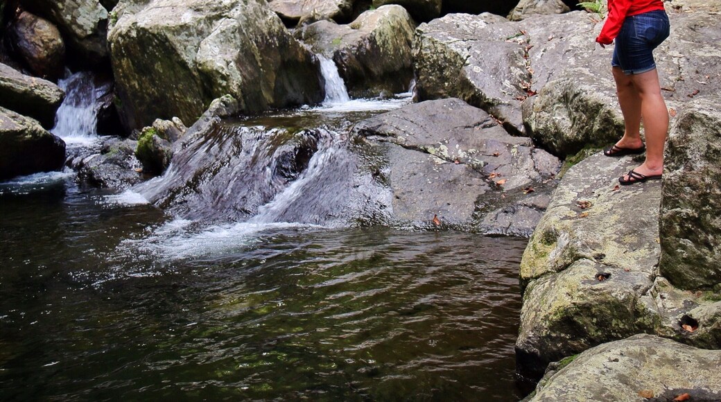 Stoney Creek Falls is one of the smaller more local swim spots and waterfalls near Cairns. Perfect place to chill out and cool down.