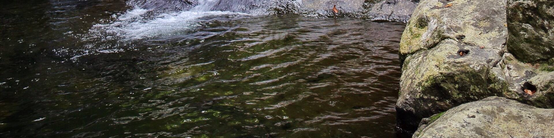 Stoney Creek Falls is one of the smaller more local swim spots and waterfalls near Cairns. Perfect place to chill out and cool down.