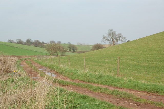 Bridleway South of Repton Park Farm The bridleway runs north through the slight valley towards the village of Repton. A pair of buzzards were circling overhead when this picture was taken.