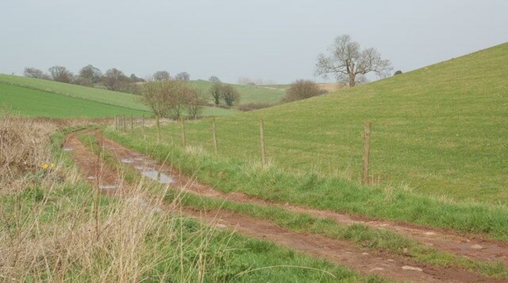 Bridleway South of Repton Park Farm The bridleway runs north through the slight valley towards the village of Repton. A pair of buzzards were circling overhead when this picture was taken.