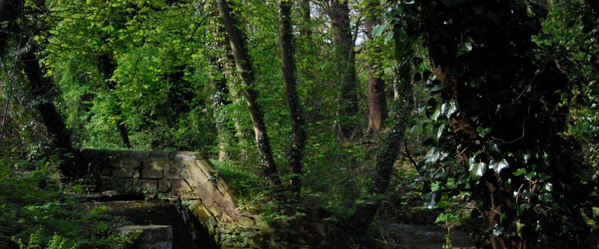 A stone bridge over a calm stream in a lush forest.