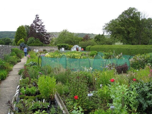 Great Longstone - Hardy Plant Nursery on Station Road