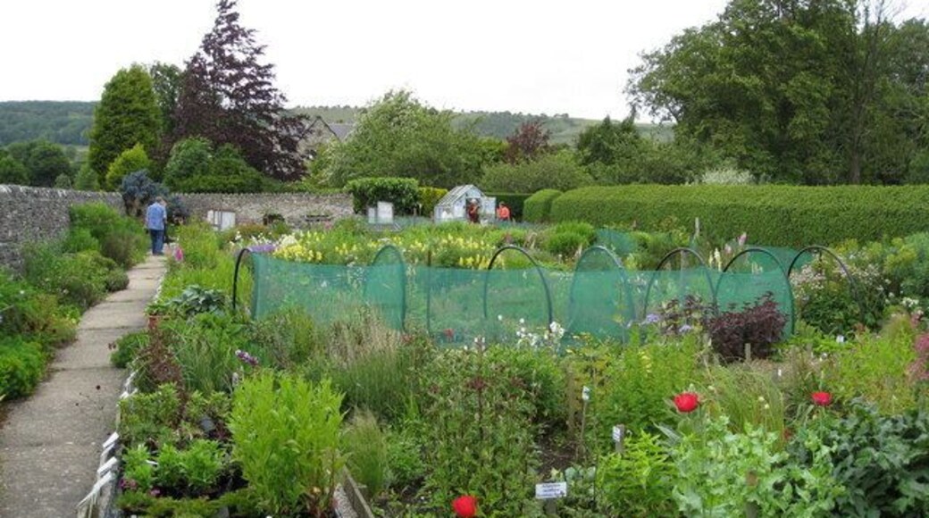 Great Longstone - Hardy Plant Nursery on Station Road