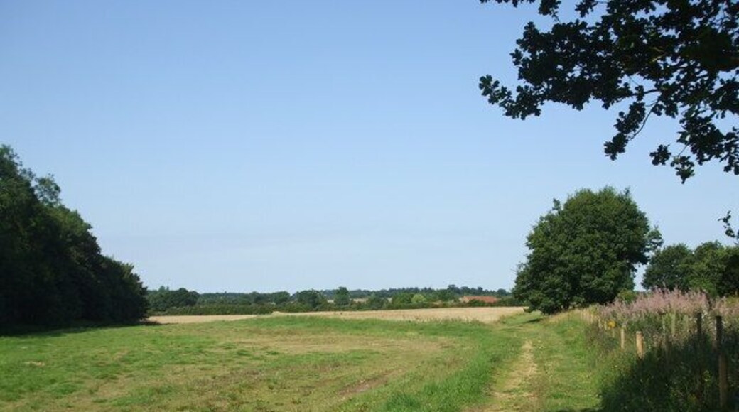 Fields on a nice day British countryside at its best, the sky is blue the wildlife is out and there is no noise! Beside is the Mid Norfolk Railway, a preserved line beterrn Wymondham and Dereham.