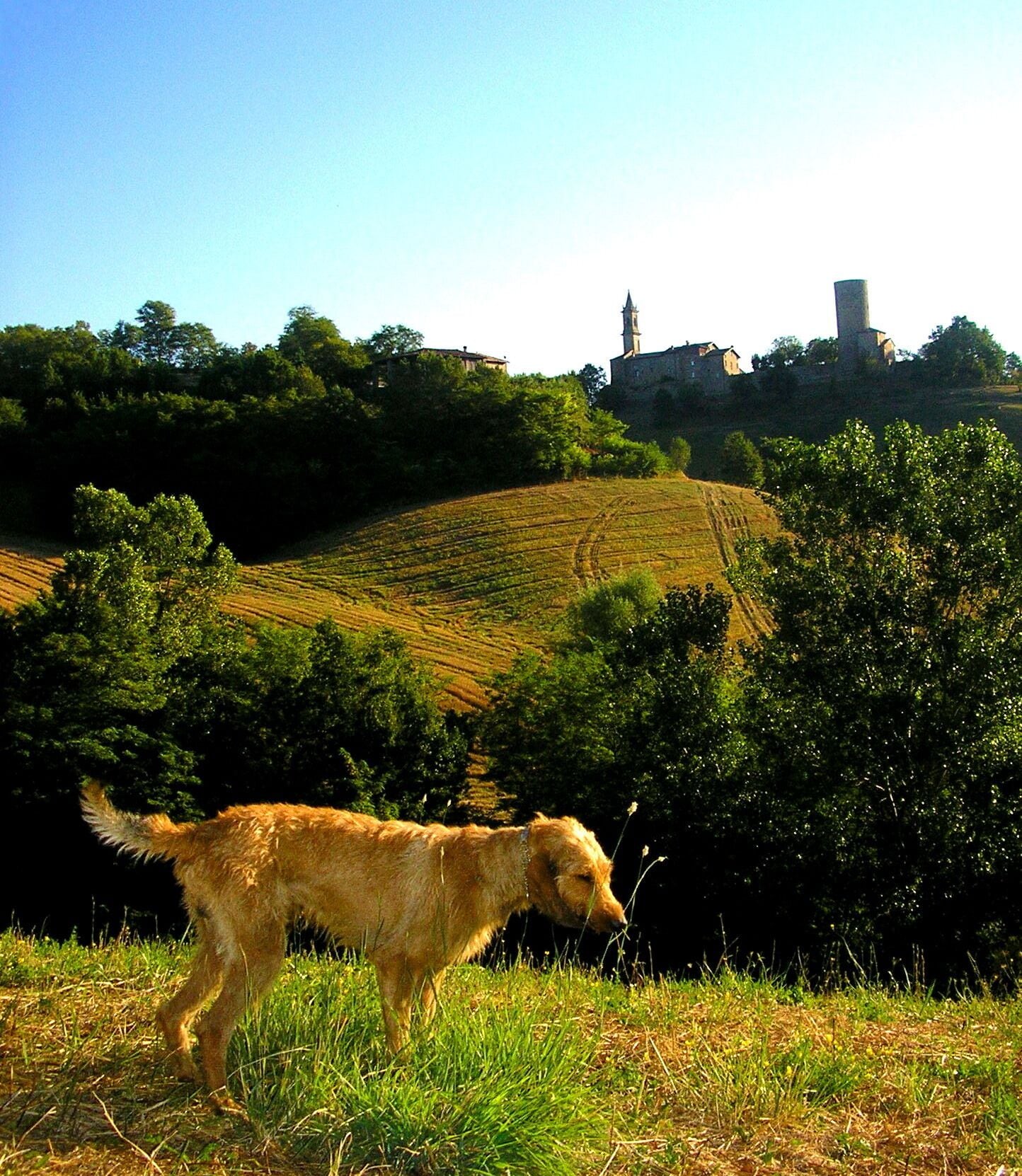 segugio e Rocca di di Monteventano