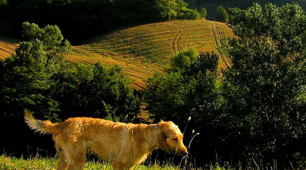 segugio e Rocca di di Monteventano