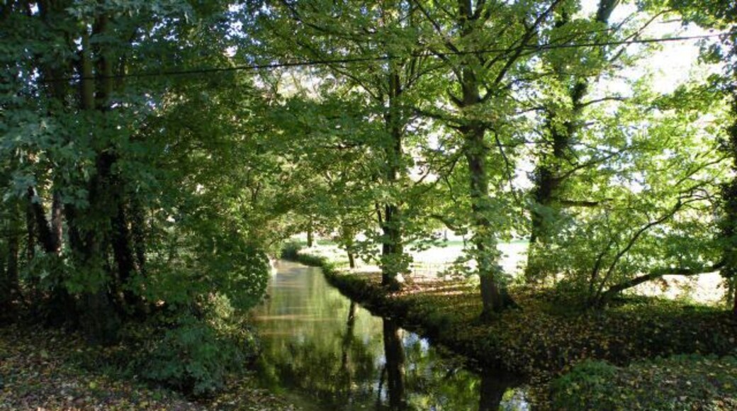 The River Granta at Hildersham Ford
