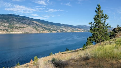 Looking south down Skaha lake from Kaleden between Penticton and Okanagan Falls