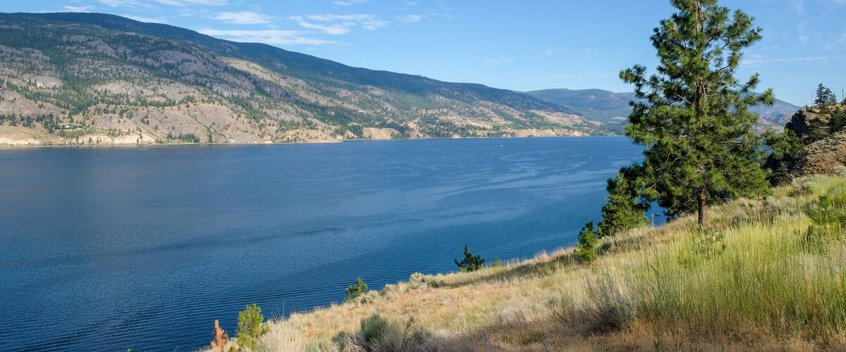 A lake with a clear sky, surrounded by hills and a lone pine tree.