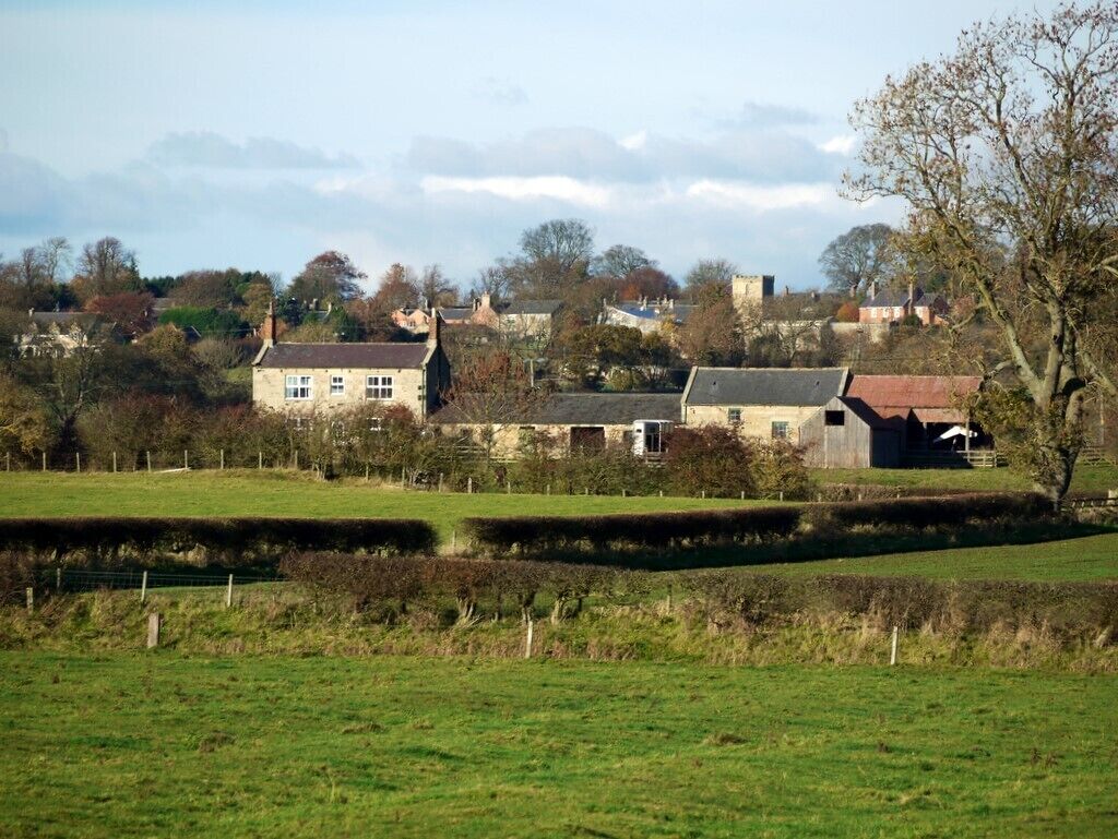 A rural landscape with stone houses, a fenced field, and a tree in the foreground.