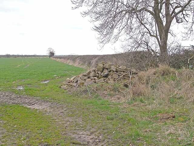 Hedgerow near Ogle And pile of stones.