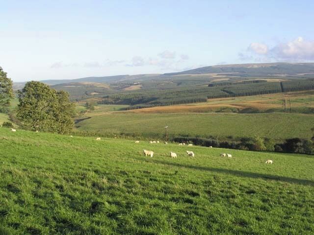 Pasture field near Broomhills