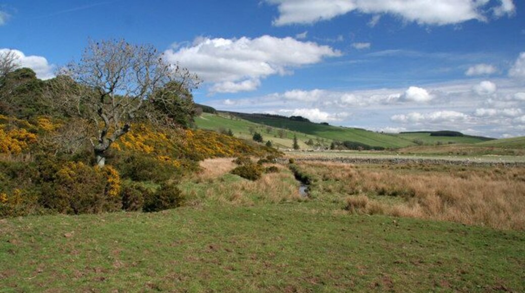 White Burn White Burn beneath Bents Plantation.