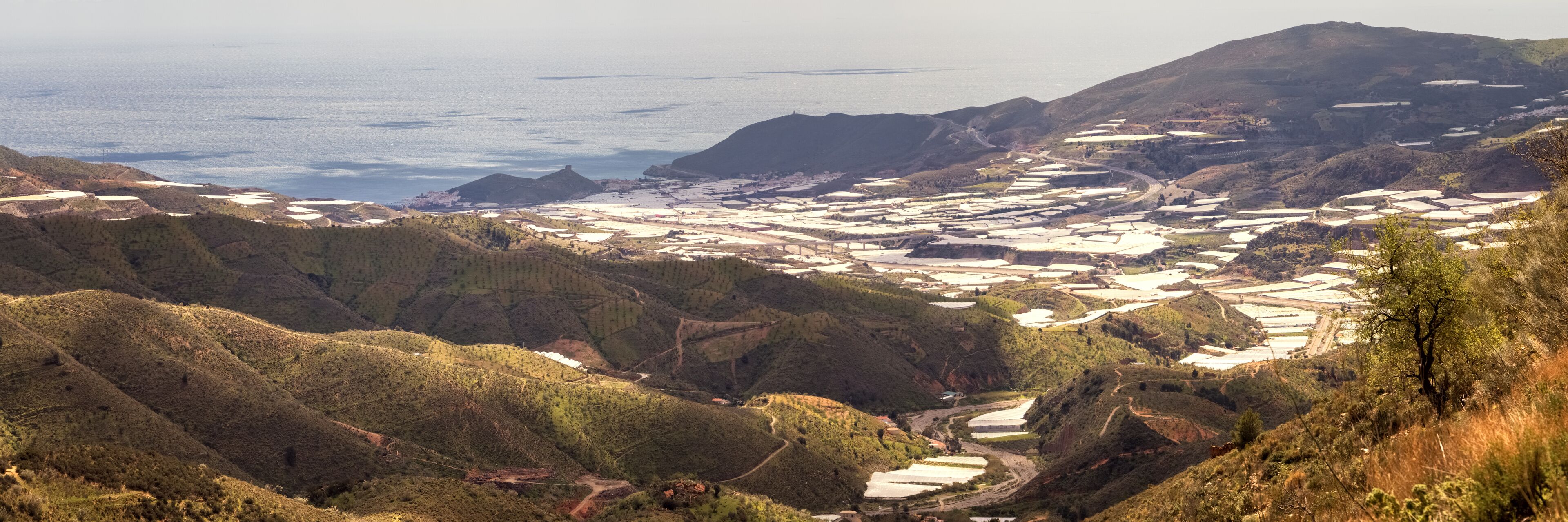 A coastal landscape with terraced fields, a winding road, and a mountain range.