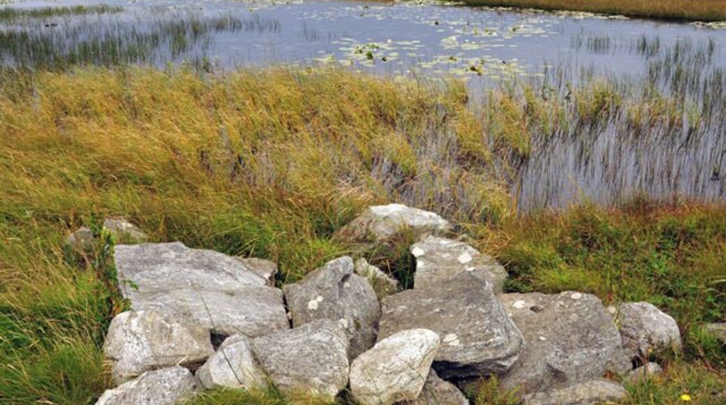 Loch Uiselan This loch has a dun in the middle which can be seen as the dark lump.