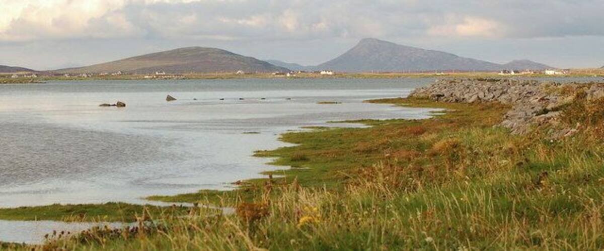 A coastal landscape with a body of water, grassy areas, and distant hills.