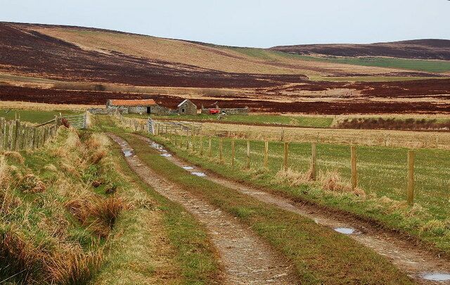 Track to Blubbersdale A gorgeous place. The land to the left is part of an RSPB reserve and there is a hide higher up the slopes. Today a female hen harrier was hovering around, sharing the sky with flocks of geese.
