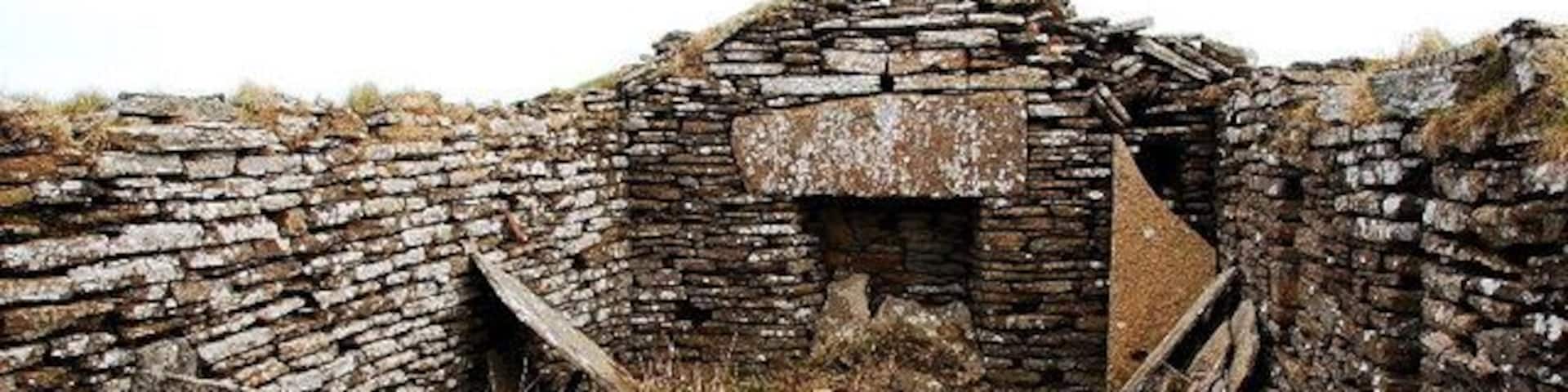 Derelict crofthouse The stark reality of bygone rural life in Orkney is all too evident here. No romantic, rose-tinted rural idyll. The most basic accommodation, peat fire, tiny windows down one side and a low roof. That's some lintel over the fireplace though.