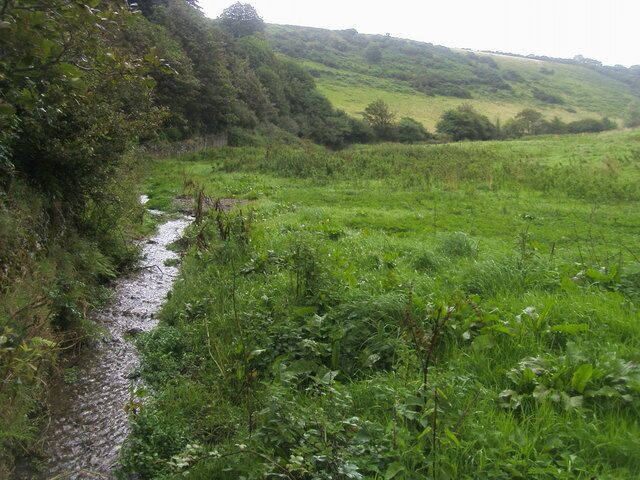 Stream heading down to the sea From the footpath near Lower Manor Farm the stream heading down to the sea at Ayrmer Cove