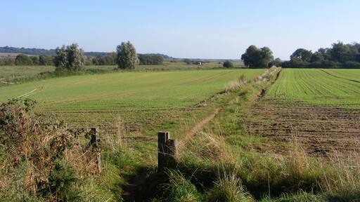 Footpath between Eastbridge and Minsmere A view of the coast, in the distance, from the footpath running between Eastbridge and Minsmere.