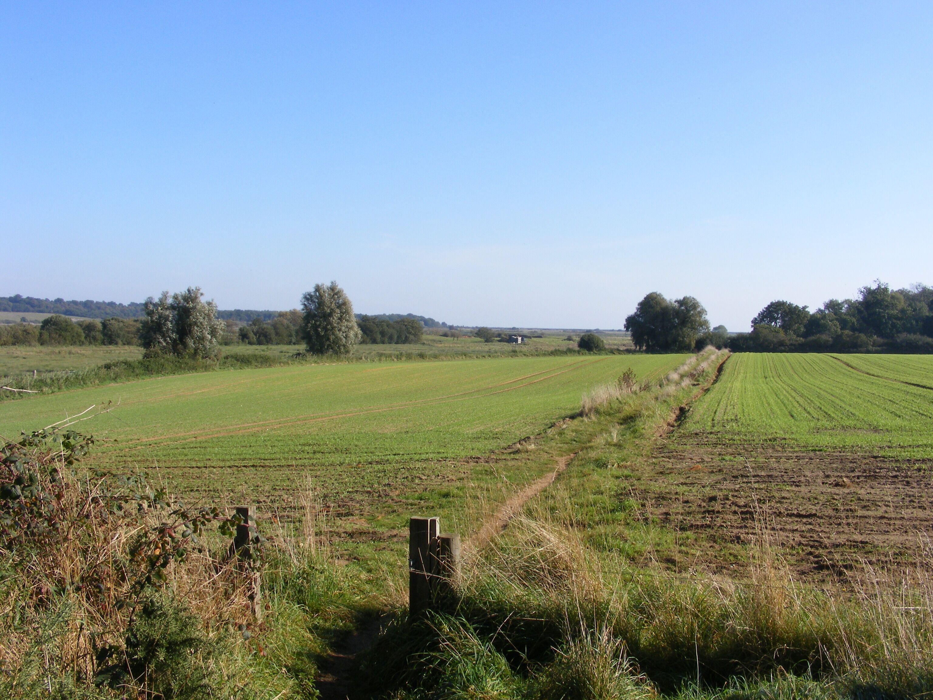 A rural landscape with open fields, a dirt path, and scattered trees.