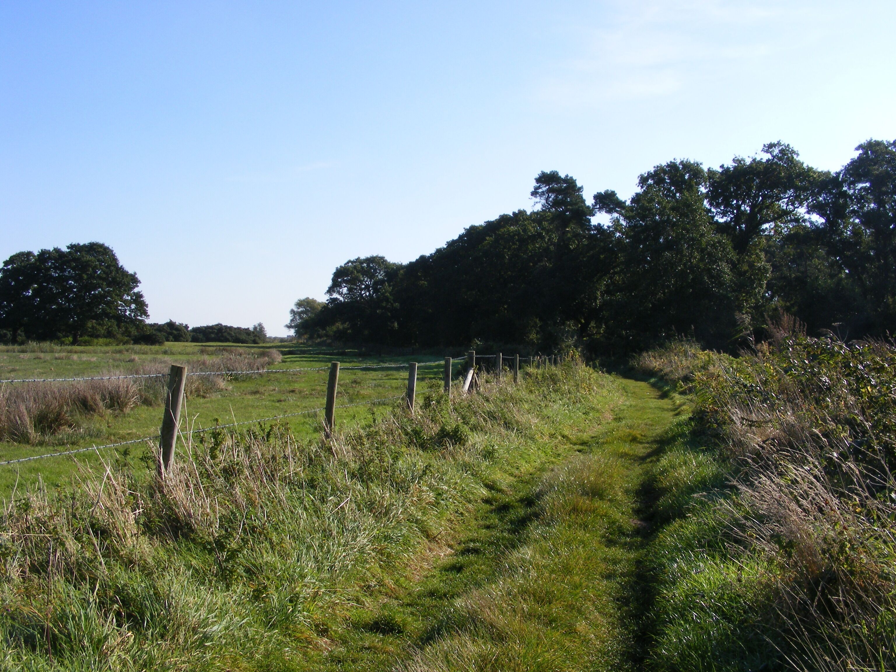 Footpath between Eastbridge and Minsmere The footpath shares its course with a farm track.