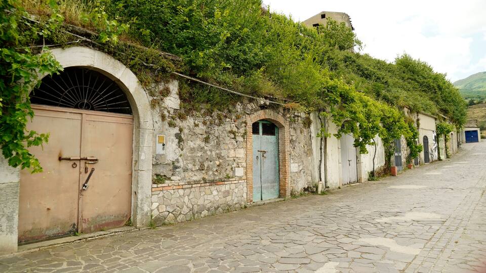 A cobblestone street with old buildings, a large arched door, and a tower in the background.