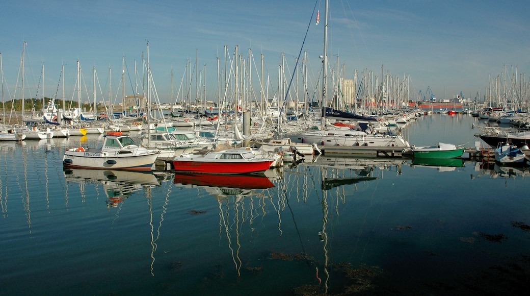 ロクミーケリック