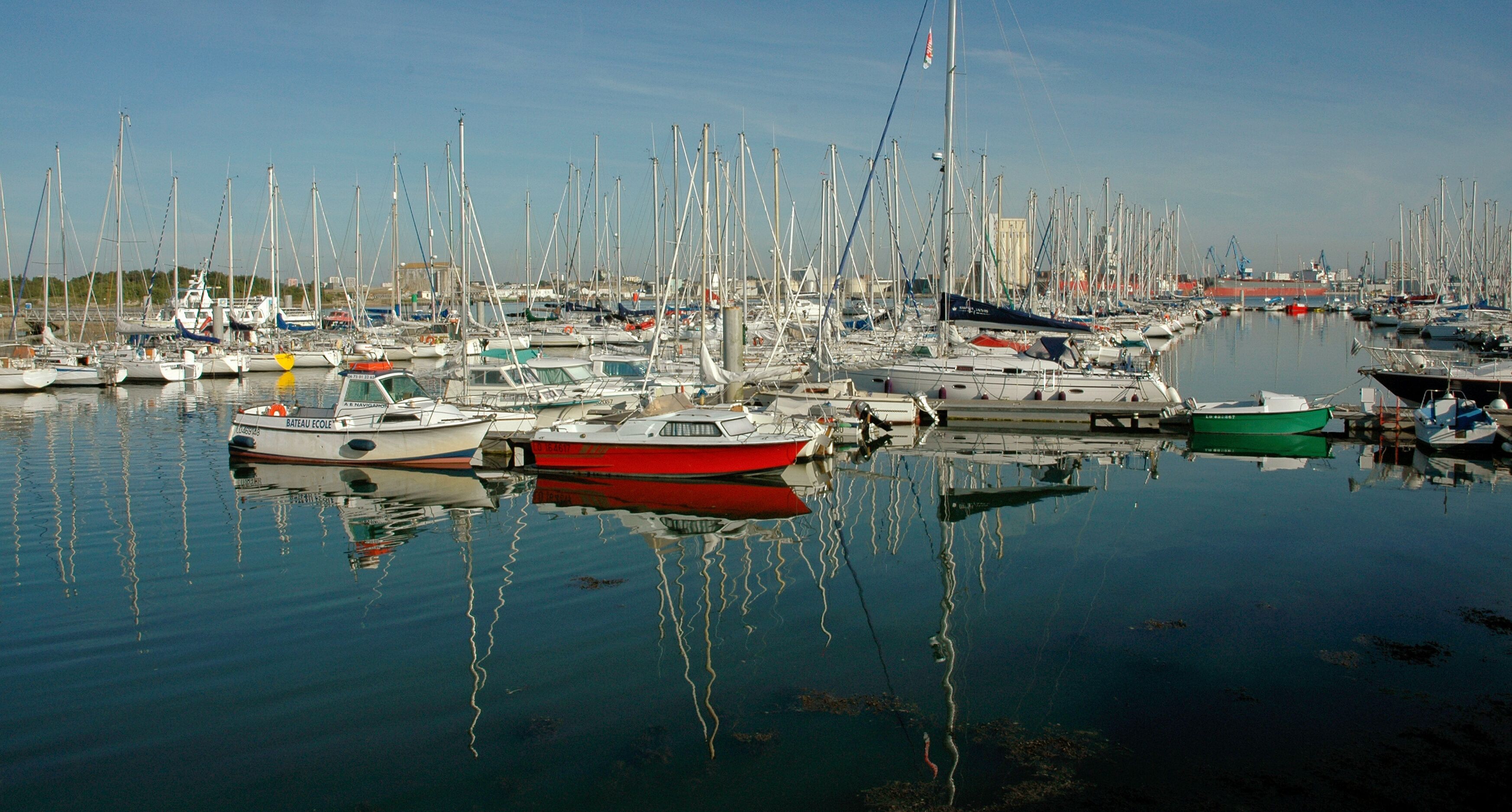 A marina with numerous sailboats docked in calm waters.