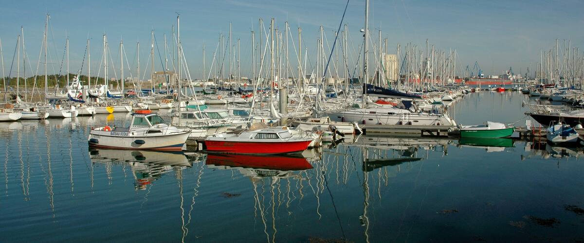 A marina with numerous sailboats docked in calm waters.