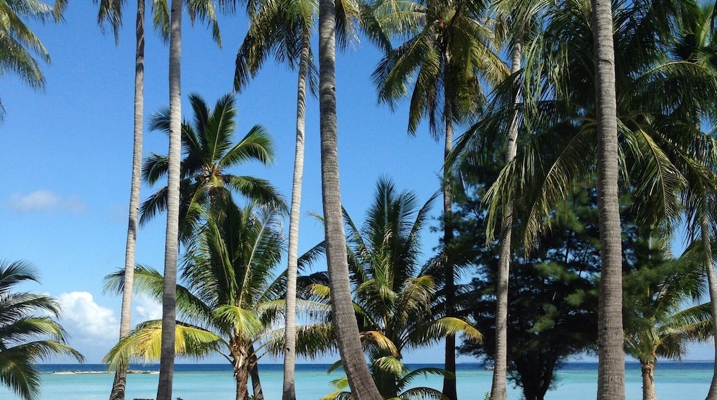 A magical spot in Indonesia to relax and feel like in paradise..