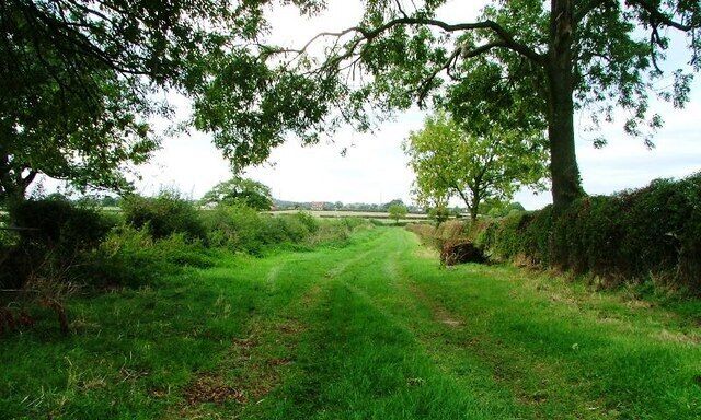 A rural path surrounded by greenery and trees.