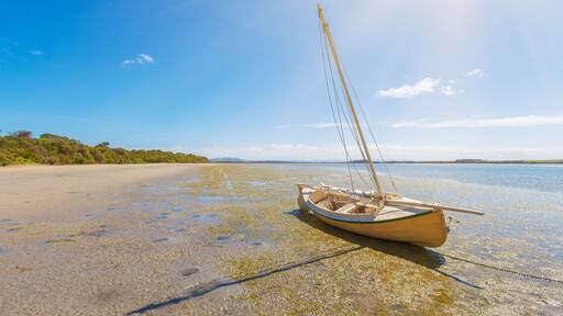 Boat laying on Sandy Point Beach, Victoria, Australia, Shutterstock ID 352335353, Purchase Order: -