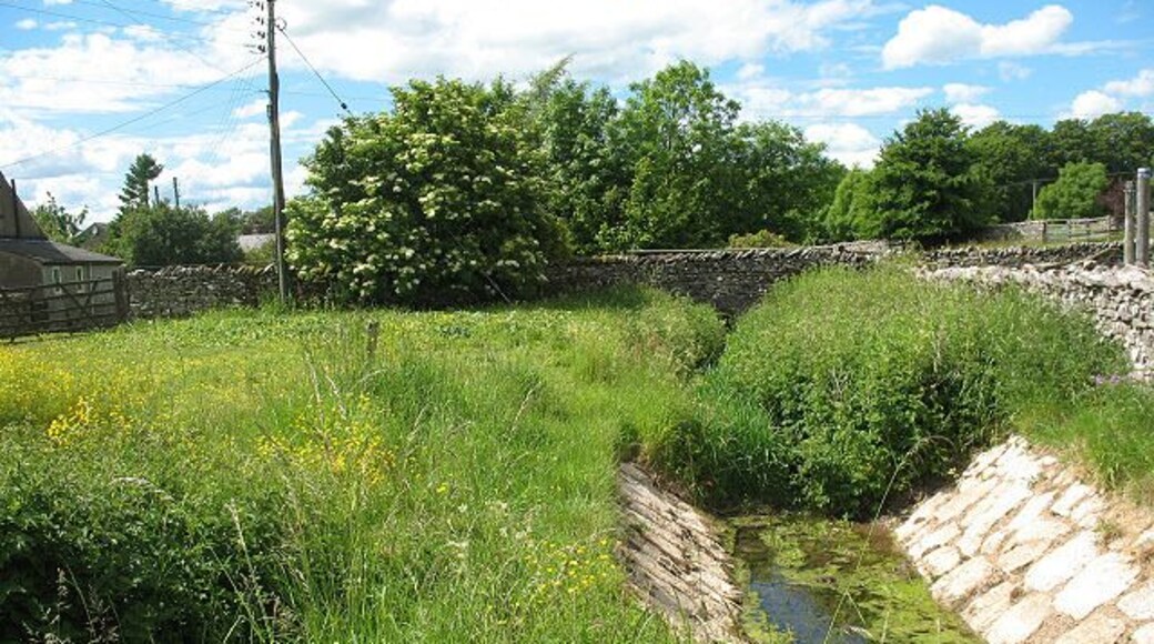Overgrown stream The stream is channelled alongside the road into Newbiggin, then turns a corner here, where it becomes overgrown.