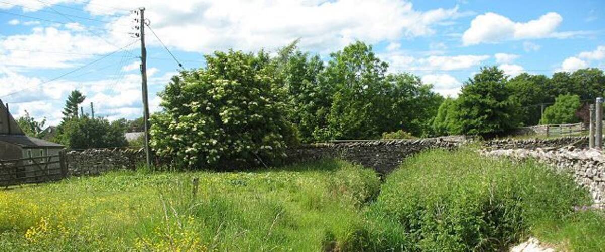A narrow water channel with stone walls, surrounded by lush greenery and wildflowers.