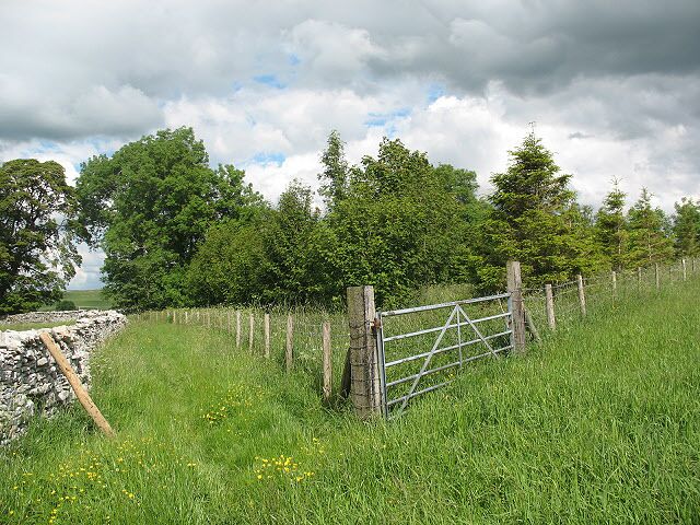 Bridleway and plantation A mixed (deciduous/conifer) plantation on a triangular site, with a bridleway / farm access track to the left.