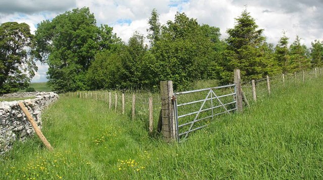 Bridleway and plantation A mixed (deciduous/conifer) plantation on a triangular site, with a bridleway / farm access track to the left.