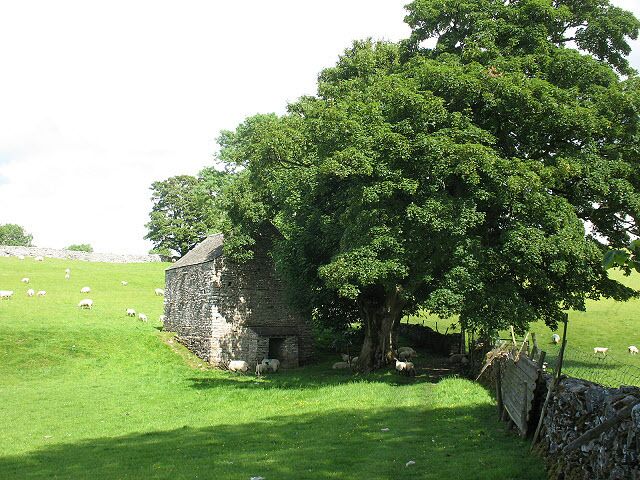 Shady barn The barn is surrounded on three sides by mature trees.