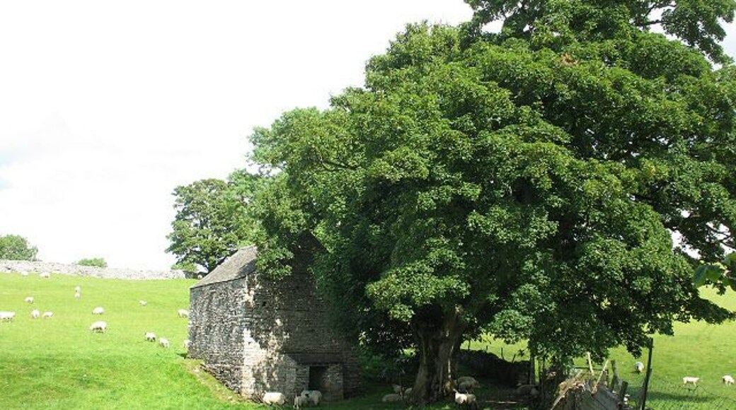 Shady barn The barn is surrounded on three sides by mature trees.