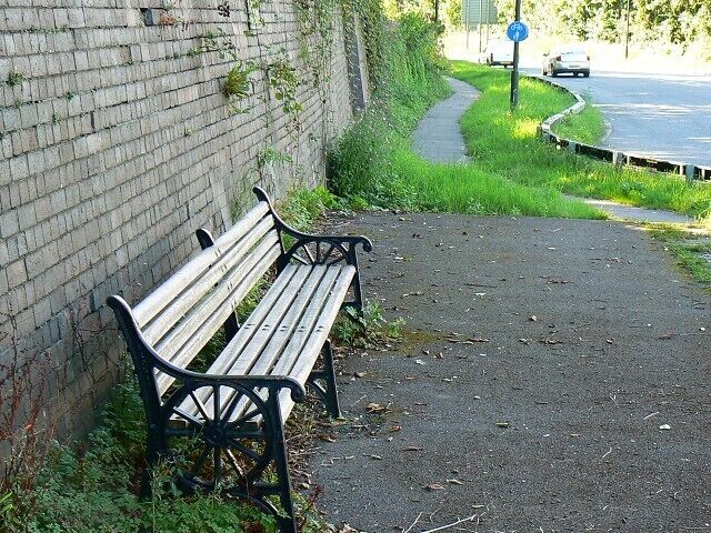 A bench at the site of Dudbridge Station, Stroud A little haven of tranquility away from the cares of the world? It is certainly quite well hidden from the road otherwise someone else would have photographed it by now but the traffic noise reduces its value as a quiet zone. No matter. It's good to see that the past has been recognized not completely obliterated.