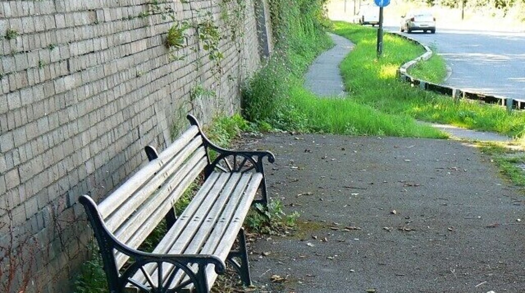 A bench at the site of Dudbridge Station, Stroud A little haven of tranquility away from the cares of the world? It is certainly quite well hidden from the road otherwise someone else would have photographed it by now but the traffic noise reduces its value as a quiet zone. No matter. It's good to see that the past has been recognized not completely obliterated.