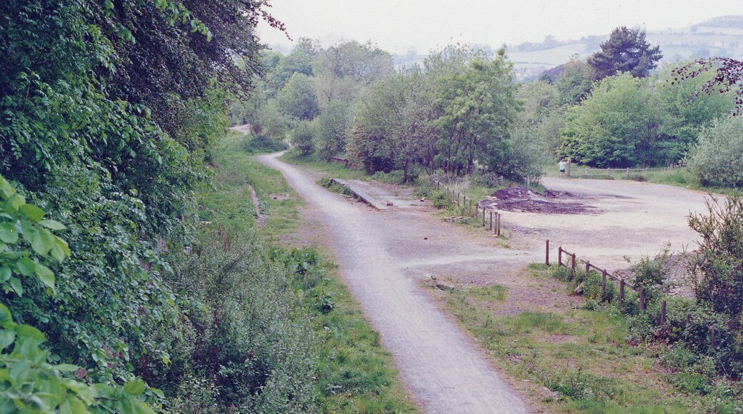 Dudbridge station (remains), 1990. View westward, towards Stonehouse: ex-Midland Stonehouse - Nailsworth branch, junction of branch to Stroud (Midland). The station and both branches were closed to passengers 16/6/47, to goods 1/6/66