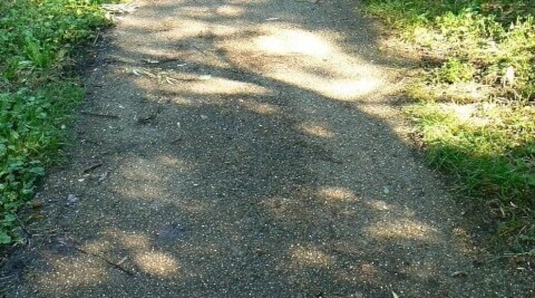 Cycle route on the line of the Nailsworth to Stonehouse railway, Stroud This stretch is in good condition and I have no reason to doubt that it's the same elsewhere on the trackbed. In this direction lies Nailsworth.