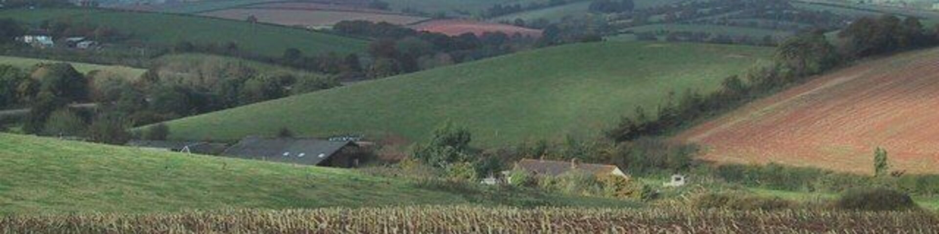 Fields by Keymelford Farm